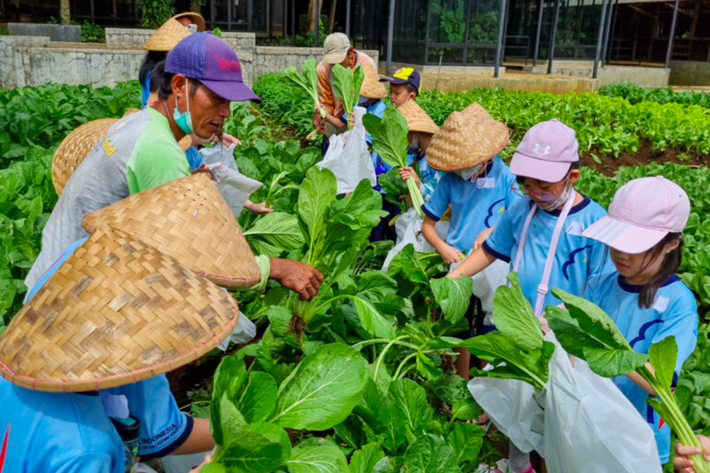 Wisata Edukasi Paling Hits: Belajar Jadi Menyenangkan