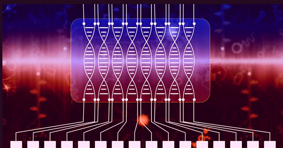 DNA Computing