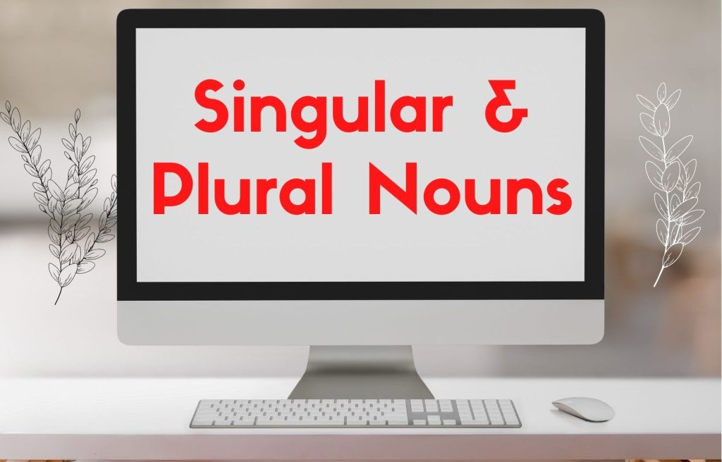Singular dan Plural Noun