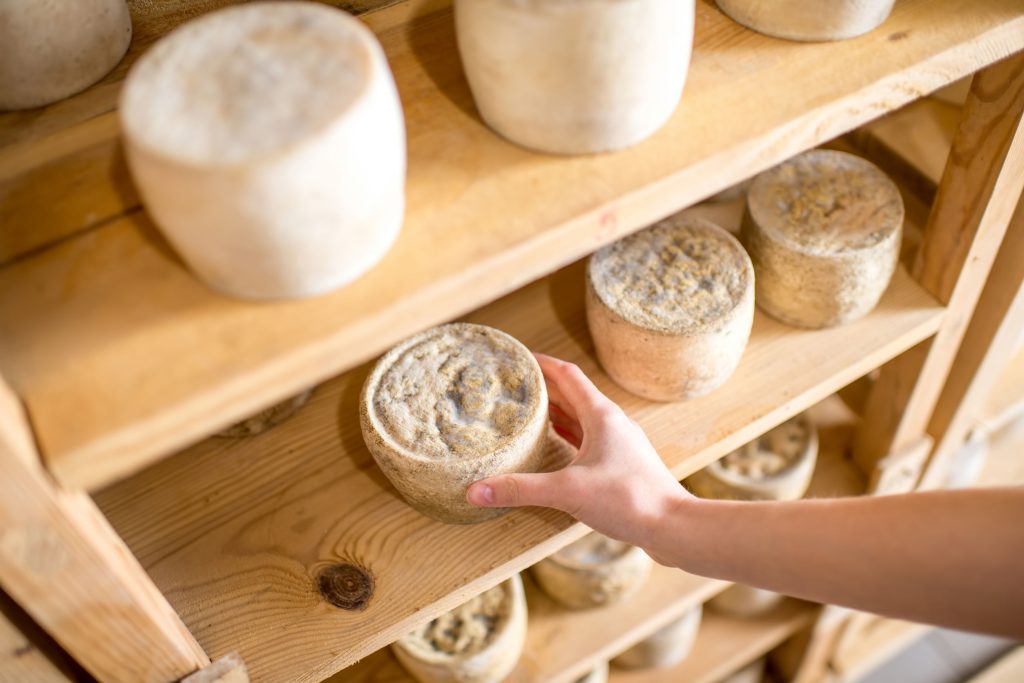 Cheeses aging at the cellar