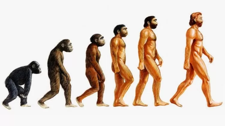 Evolusi Pengetahuan