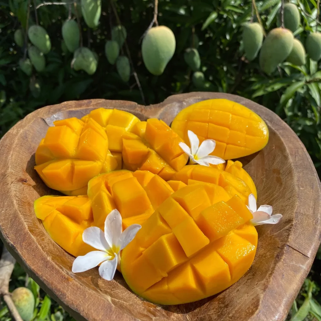 Mangoes