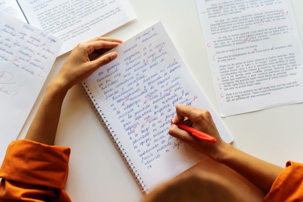 Academic Essay Writing