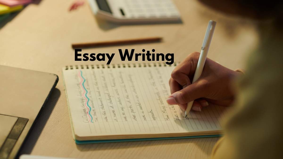 Academic Essay Writing