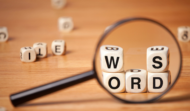 Vocabulary Acquisition