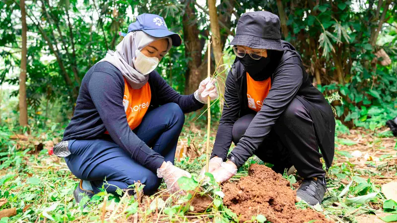 Konservasi Hutan Dampak Positif terhadap Ekosistem dan Manusia