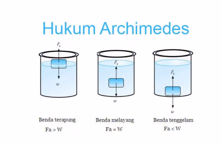 Hukum Archimedes Dasar: Prinsip Gaya Apung Dijelaskan