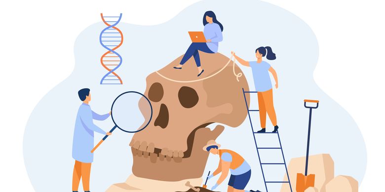 Antropologi Lanjut: Menyelami Kompleksitas Budaya