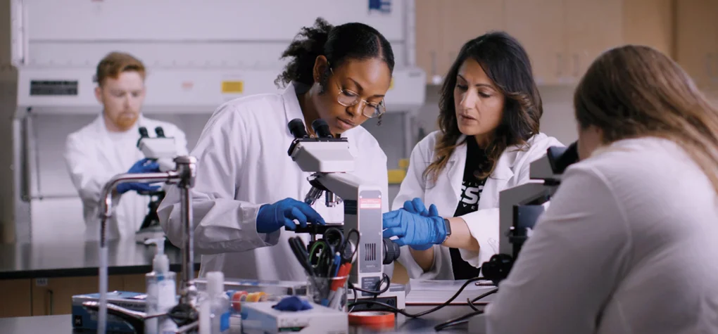 Biochemistry Insights