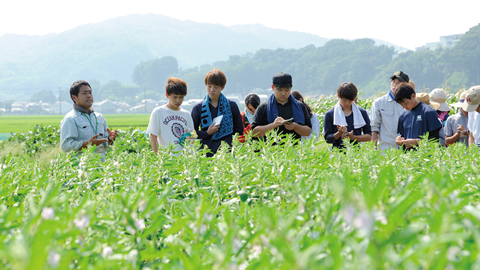 Faculty of Agriculture