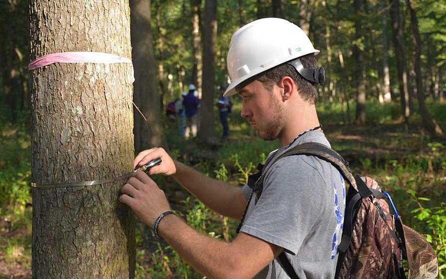 Forestry Management
