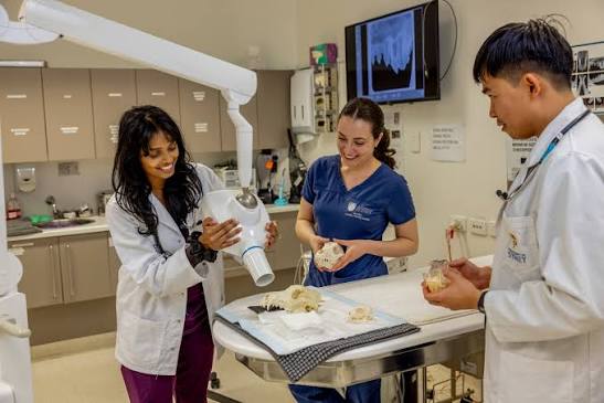 veterinary medicine